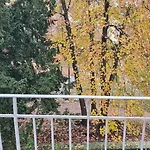 Meuble Du 25 N°5 De Tourisme 3* Apartment Niederbronn-les-Bains
