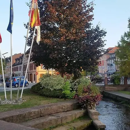 Meuble Du 25 N°5 De Tourisme 3* Apartment Niederbronn-les-Bains