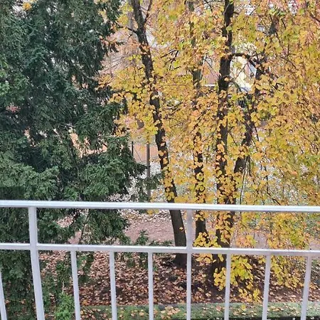 Meuble Du 25 N°5 De Tourisme 3* Apartament Niederbronn-les-Bains