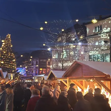 Meublé Du 25 N°5 De Tourisme 3* Appartement Niederbronn-les-Bains