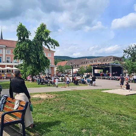 Meuble Du 25 N°5 De Tourisme 3* Niederbronn-les-Bains
